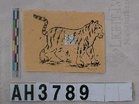 藏品(虎錢)的圖片